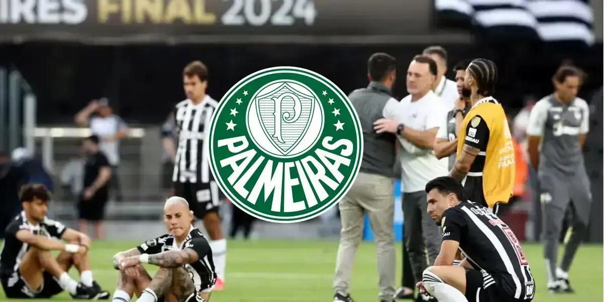 Paulinho Palmeiras: Novo Reforço Surpreende Após Libertadores