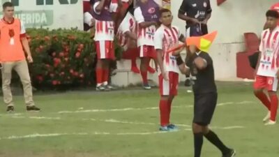 Enxame de Abelhas Interrompe Jogo e Causa Pânico no Piauí