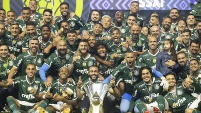Rony Palmeiras: Ídolo em Despedida e Novos Desafios em 2025